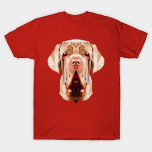 Neapolitan Mastiff T-Shirt